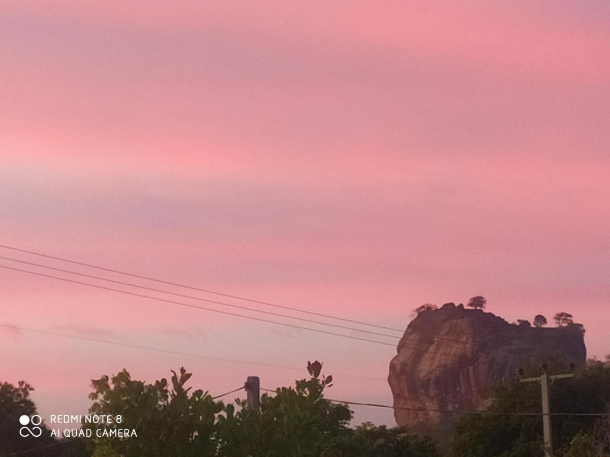 Sigiri Gayani Home Stay Sigiriya Exteriör bild