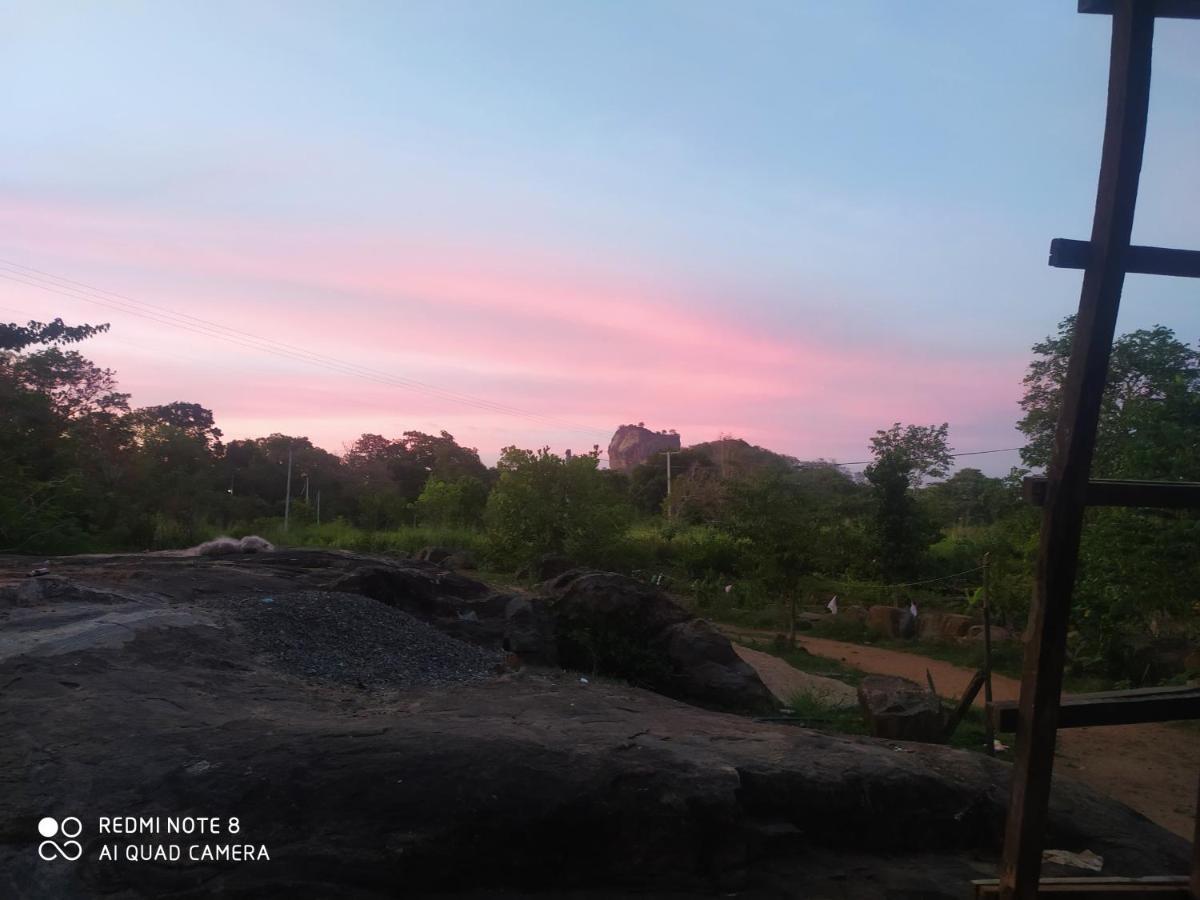Sigiri Gayani Home Stay Sigiriya Exteriör bild