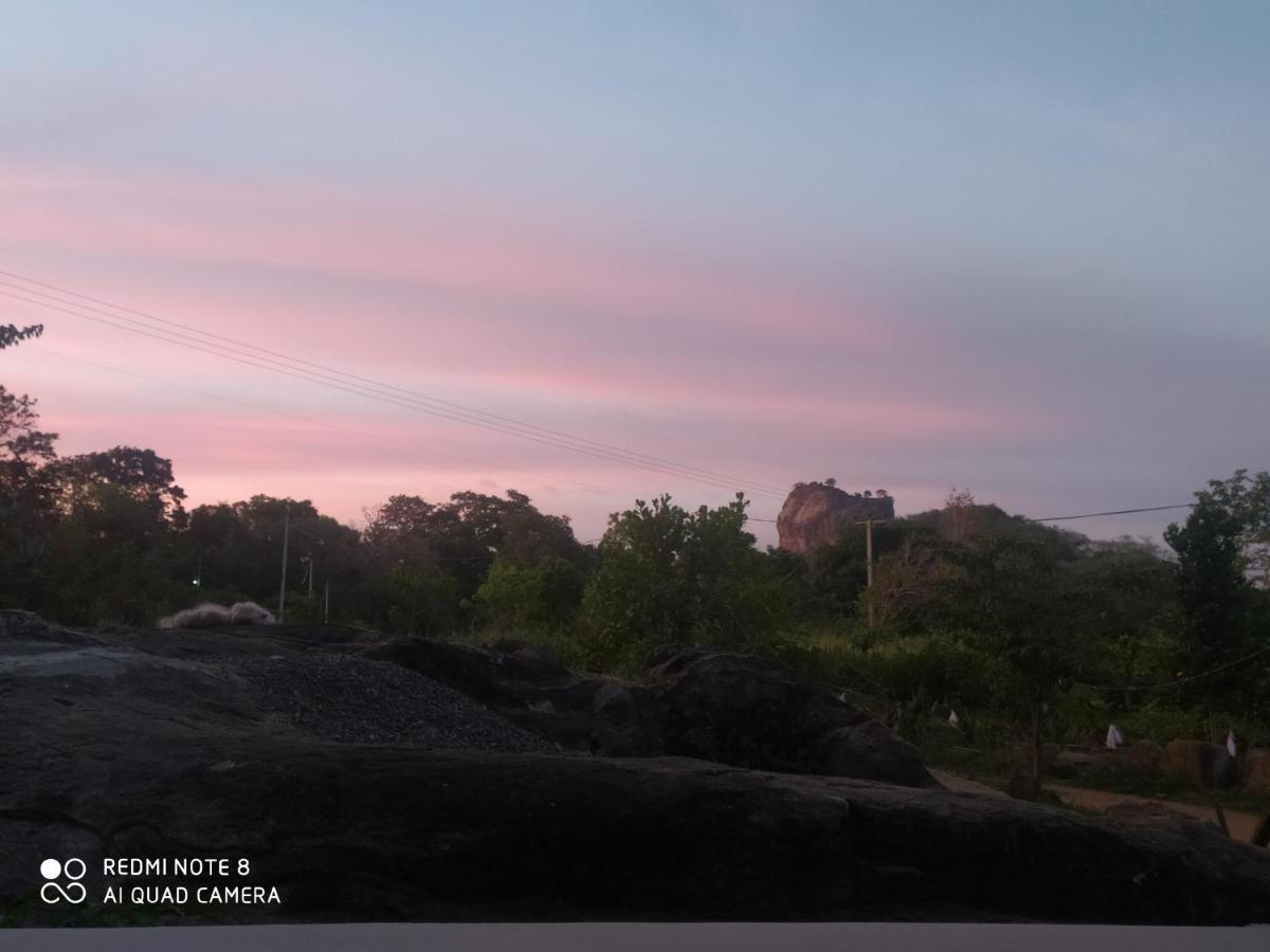 Sigiri Gayani Home Stay Sigiriya Exteriör bild