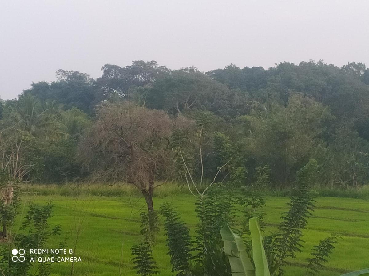 Sigiri Gayani Home Stay Sigiriya Exteriör bild