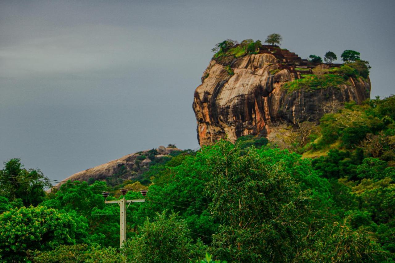 Sigiri Gayani Home Stay Sigiriya Exteriör bild