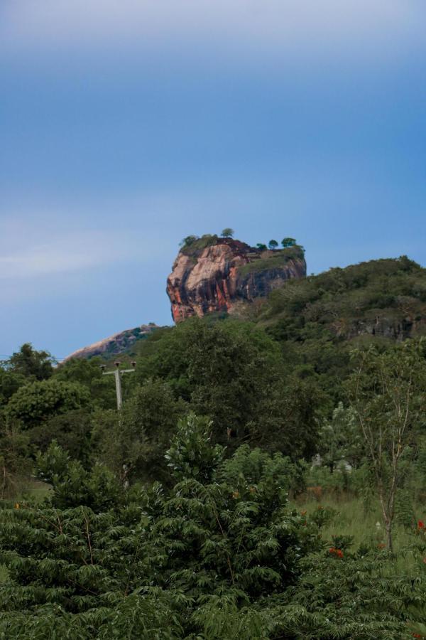 Sigiri Gayani Home Stay Sigiriya Exteriör bild