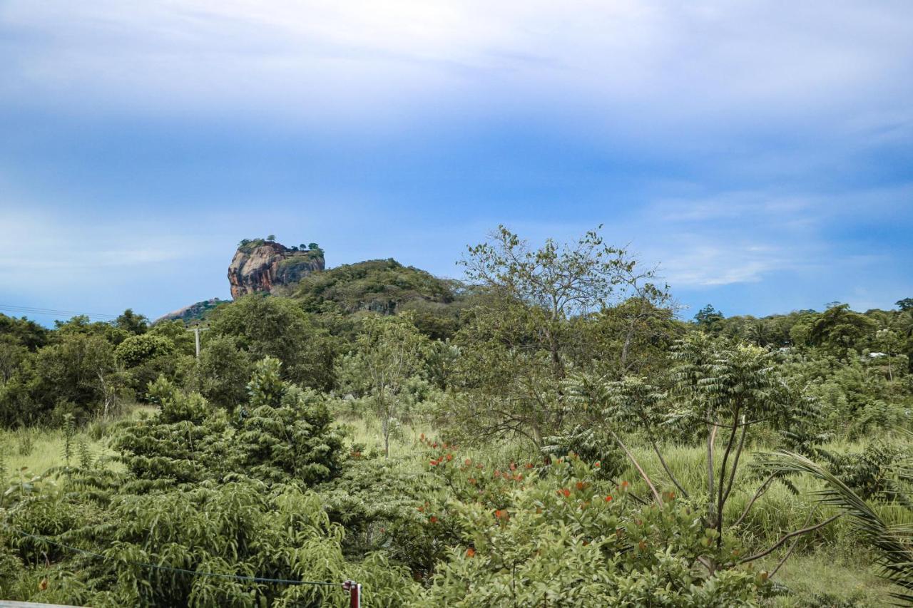Sigiri Gayani Home Stay Sigiriya Exteriör bild