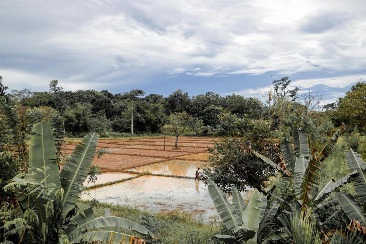 Sigiri Gayani Home Stay Sigiriya Exteriör bild