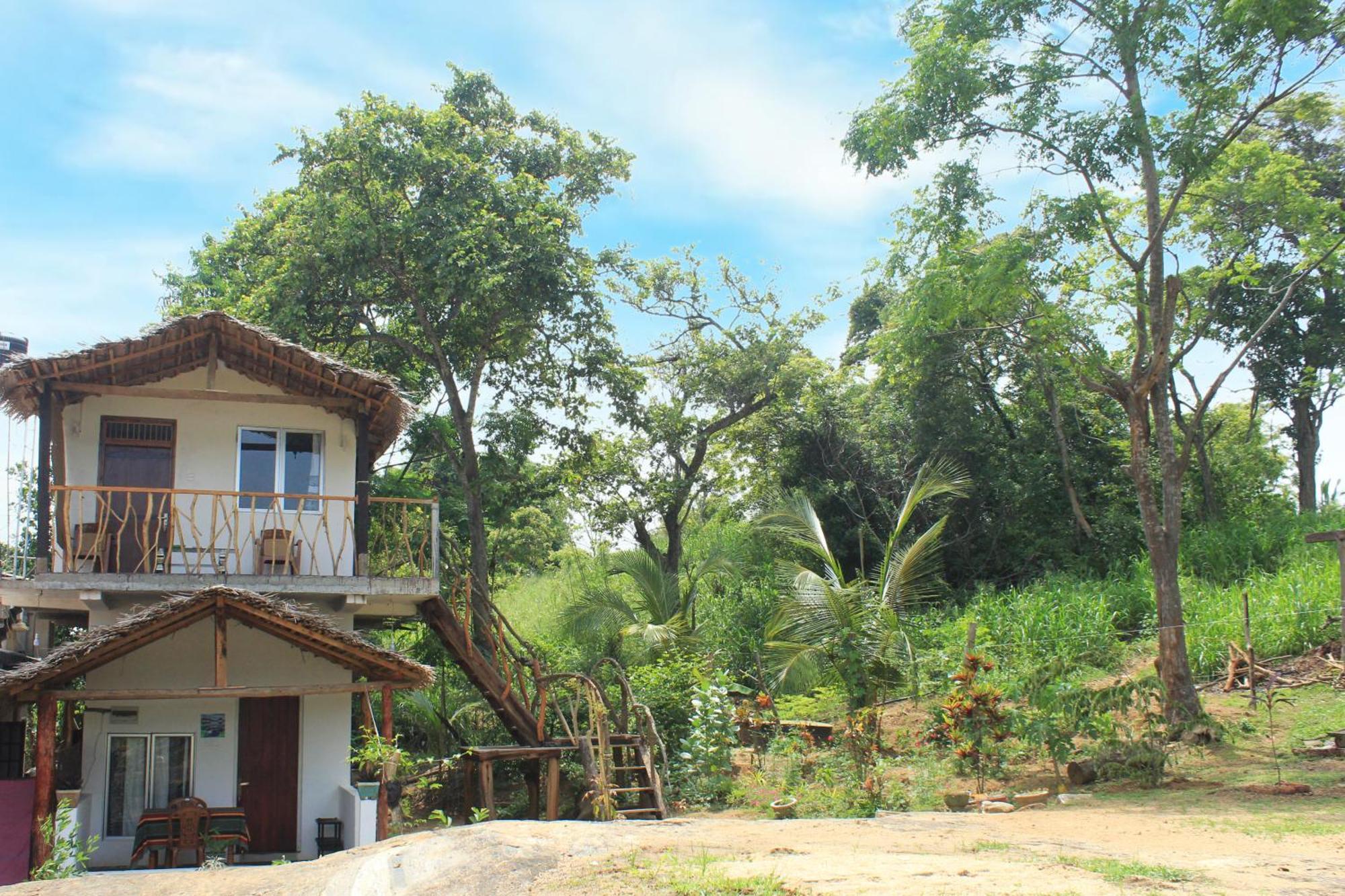 Sigiri Gayani Home Stay Sigiriya Exteriör bild