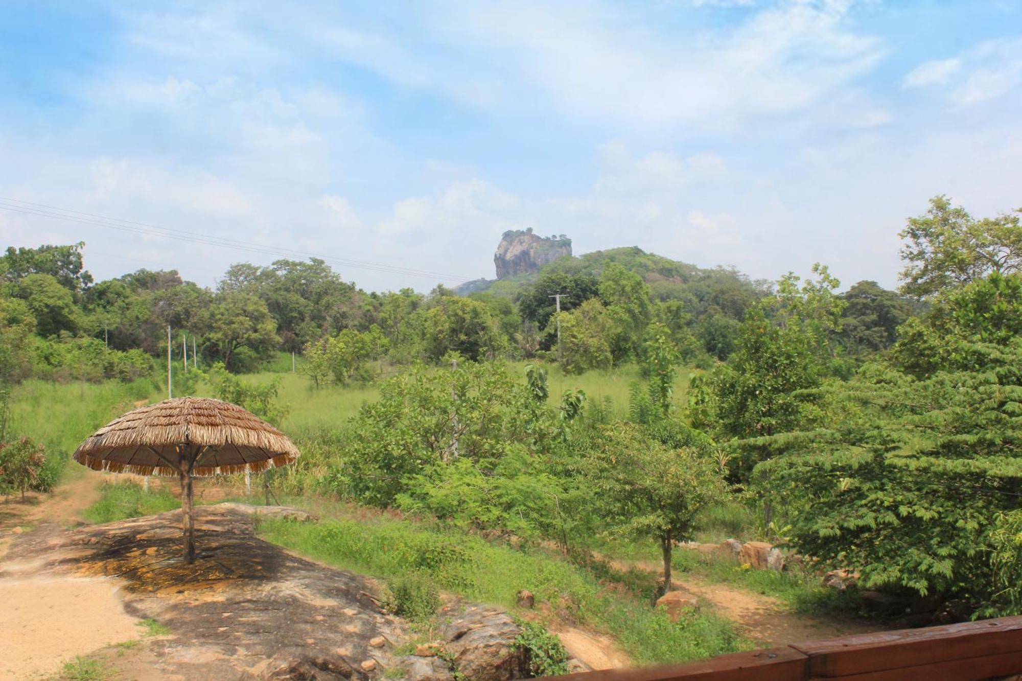 Sigiri Gayani Home Stay Sigiriya Exteriör bild